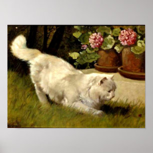 Póster Um Gato Persa Branco Assistindo um Ladybug