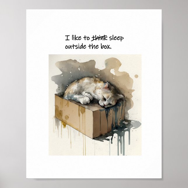 Poster Um Gato Que Gosta De Dormir Fora Da Caixa (Frente)