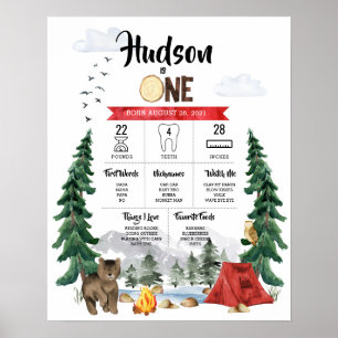 Poster Um Gráfico de Etapas de primeiro aniversario de Ca