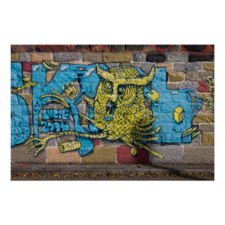 Póster Um Grafite De Coruja Louco E Fantasia