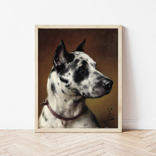 Poster Um Great Dane Carl Reichert