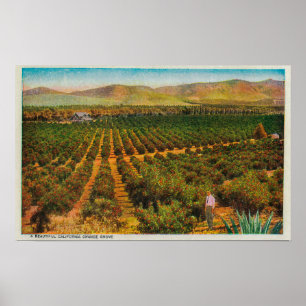 Póster Um GroveState alaranjado bonito