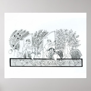 Poster Um jardim egípcio antigo (gravura) (foto de b/w)