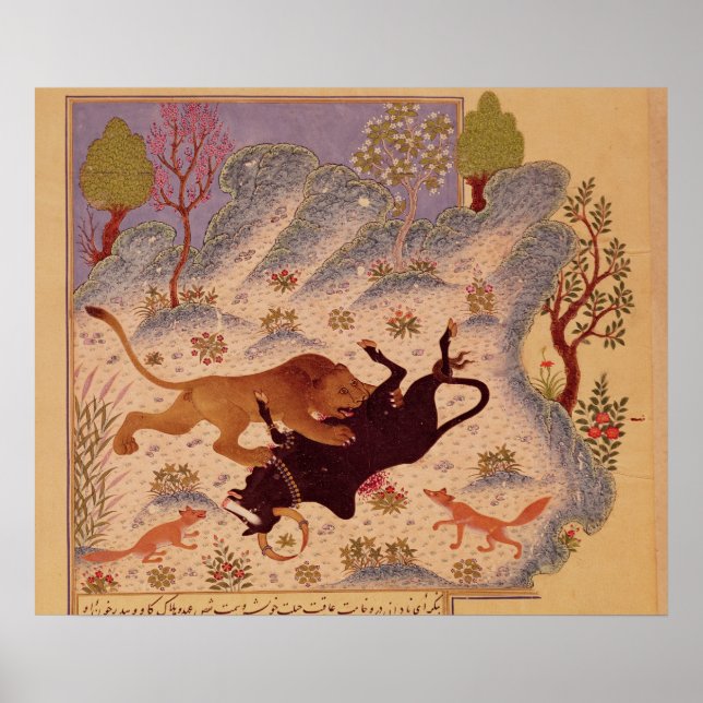 Poster Um Leão Atacando e Matando um Touro (Frente)