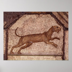 Póster Um leopardo