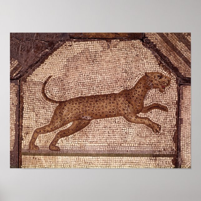 Póster Um Leopardo (Frente)