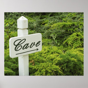 Póster Um letreiro apontando para a adega (Cave) em