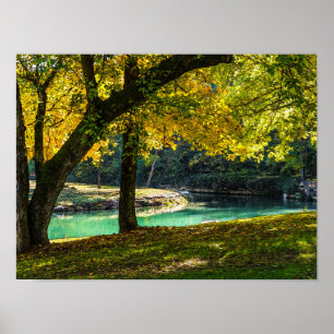 Poster Um Lugar Sob A Árvore Sombreada