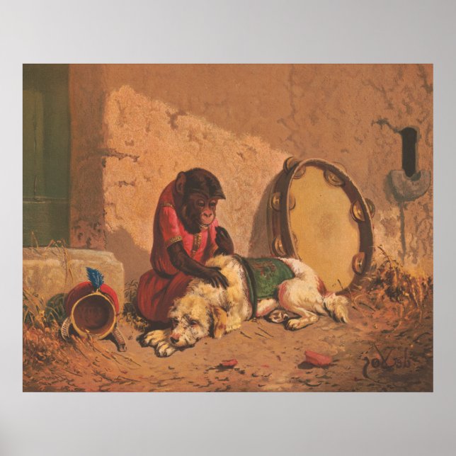 Poster Um Macaco E Um Cachorro Com Um Grande Tambourino (Frente)