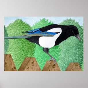 Poster Um Magpie empoleirado em uma cerca