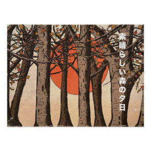Póster Um maravilhoso pôr do sol no bosque