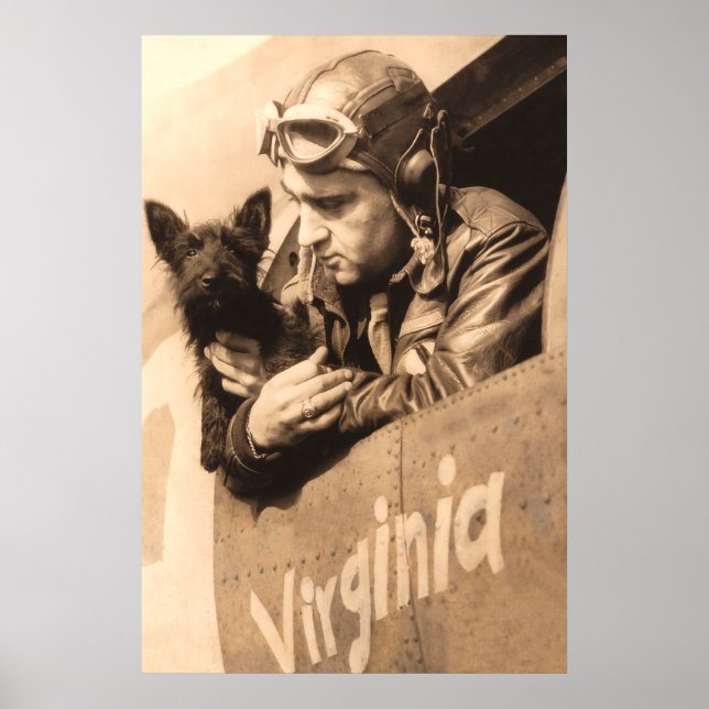 Póster Um melhor amigo dos pilotos - Piloto Terrier e caç (Frente)