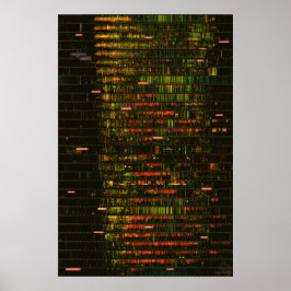 Poster Um mês de sons de Yellowstone