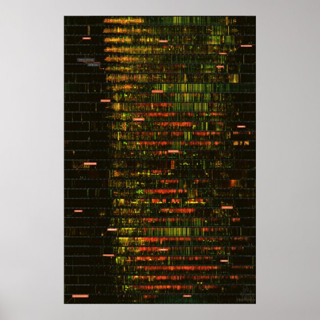 Poster Um mês de sons de Yellowstone (Frente)