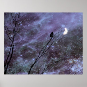 Póster Um Momento Celestial