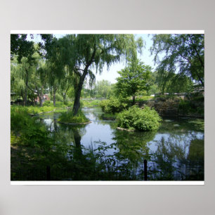 Póster Um momento tranquilo em Chicago