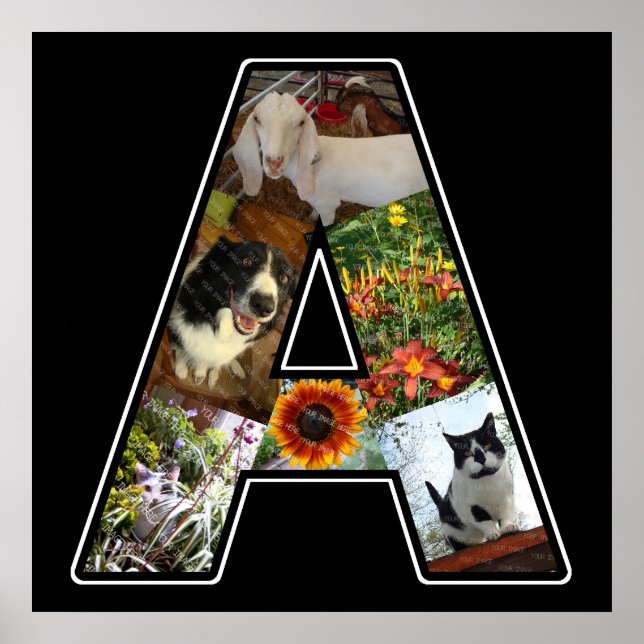 Póster Um Monograma Cria Sua Própria Colagem de Fotos 6 P (Frente)