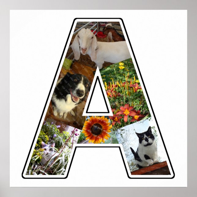 Poster Um Monograma Cria Sua Própria Colagem Personalizad (Frente)