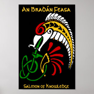 Poster Um ¡ n Feasa de Bradà - o salmão do conheciment