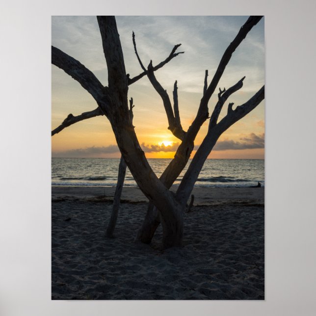 Poster Um nascer do sol (Frente)