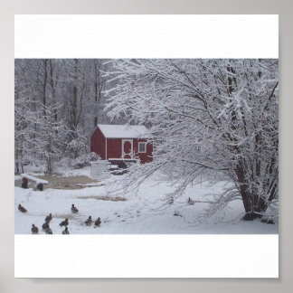 Póster Um Natal Ducky