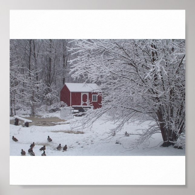 Póster Um Natal Ducky (Frente)