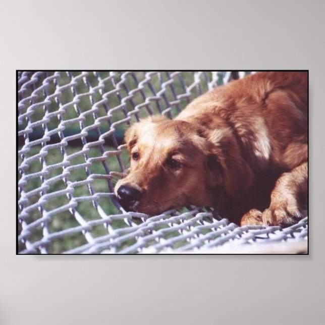 Póster Um Ouro (Frente)