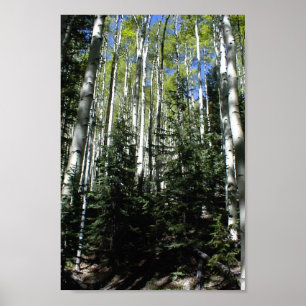 Póster Um outro bosque de Spen na inclinação norte do