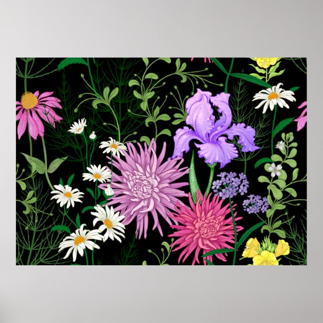 Poster Um padrão de verão perfeito. Camomila de flores se (Frente)