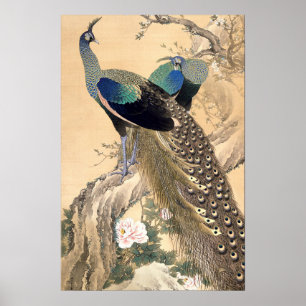 Póster Um Par de Pavões na Primavera Arte Japonesa de 190
