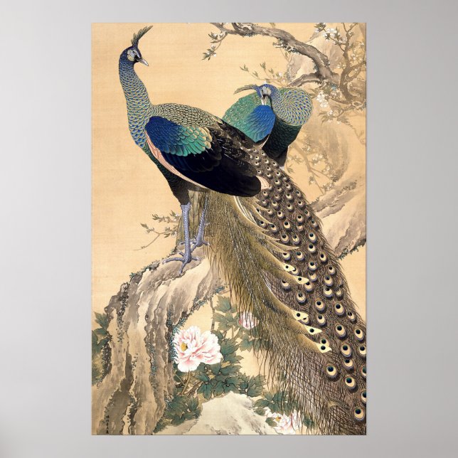 Póster Um Par de Pavões na Primavera Arte Japonesa de 190 (Frente)