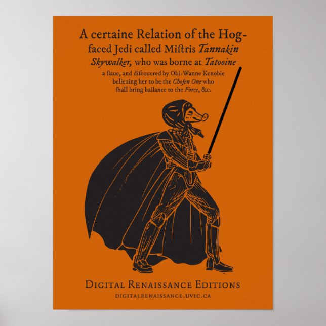 Poster Um pássaro longe (Frente)