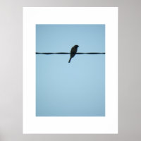 Um pássaro/Poster