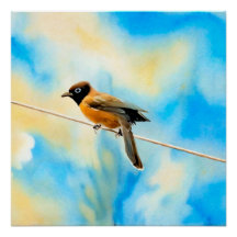 Um pássaro solitário colorido