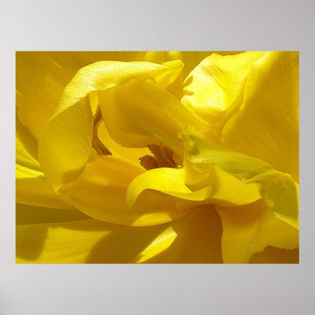 Póster Um pequeno passo (Frente)