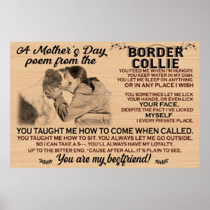 Poster Um poema de dia de as mães do collie da fronteira