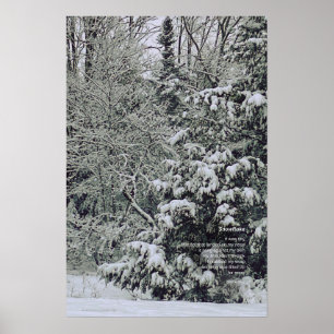 Poster Um poema minúsculo com floco de neve, cena de inve