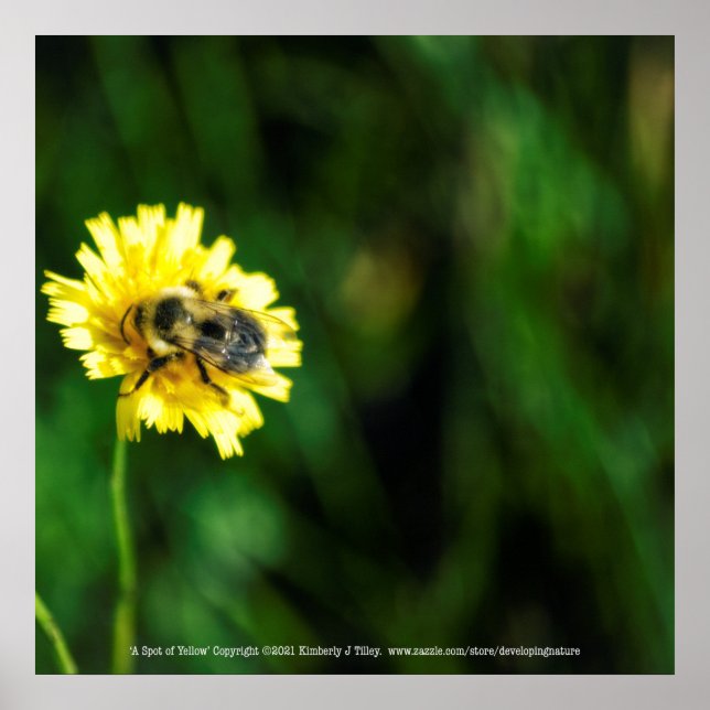 Poster Um ponto de amarelo (Frente)