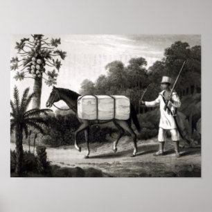 Poster Um portador do algodão, 'dos viagens em Brazil