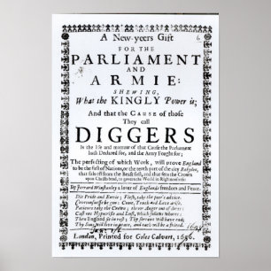 Póster Um presente de ano novo