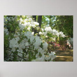 Poster Um Primavera Walk