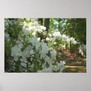Poster Um Primavera Walk