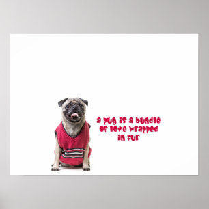 Poster Um Pug É Um Pacote De Amor Embalado De Pele