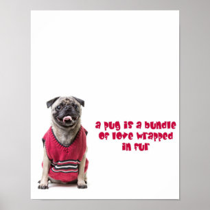 Poster Um Pug É Um Pacote De Amor Embalado De Pele