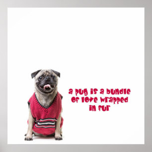 Poster Um Pug É Um Pacote De Amor Embalado De Pele