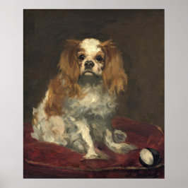 Poster Um Rei Charles Spaniel - Edouard Manet Belas Artes