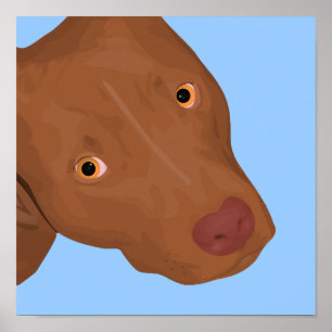 Poster Um retrato bonito do pitbull estalando para fora