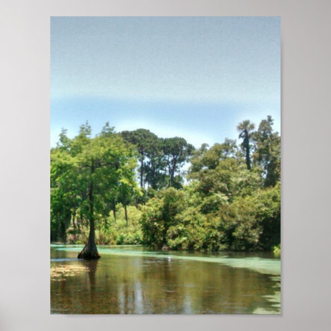 Poster Um rio Primavera em Weeki Wachee Florida (Frente)