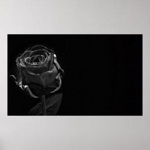 Poster Um Rosa preto Solteiro