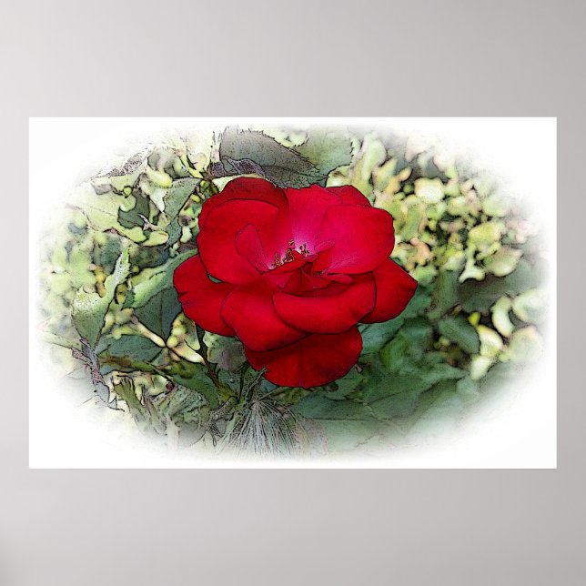 Poster Um rosa solitário (Frente)